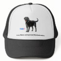 Black Labs Group Hat
