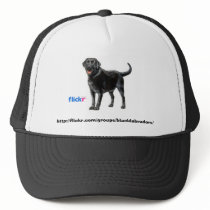 Black Labs Group Hat by cvallesf Black Labs Group Hat