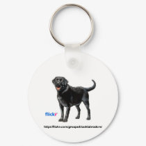 Black Labs Group Key Chain keychains