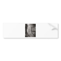 Black lamps bumper stickers
