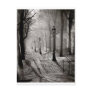 Black lamps postcard