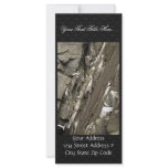 Black-legged kittiwake nests full color rack card