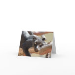 Black Leopard Greeting Card