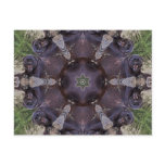 Black Leopard Kaleidoscope Postcard
