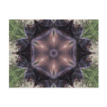 Black Leopard Kaleidoscope Postcard