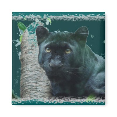 Black Leopard Magnet by alyciakeating