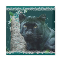 Black Leopard Magnet by alyciakeating Black Leopard Magnet