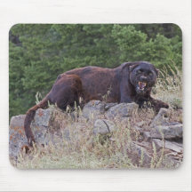 Black Leopard Mousepad