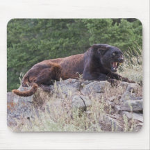 Black Leopard Mousepad