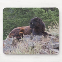 Black Leopard Mousepad