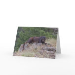 Black Leopard Note Card