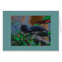 Black Leopard on a branch cards