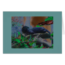 Black Leopard on a branch cards
