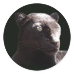 Black Leopard Portrait Sticker