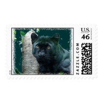 Black Leopard postage by alyciakeating Black Leopard postage