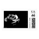 black light postage