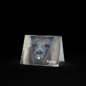 Black Llama Animal Photo Thank You Note Card
