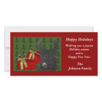 Black Llama Farm Animal Christmas Holiday Card Photo Card
