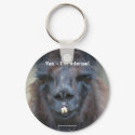 Black Llama Humorous Animal Nature Photo Keychain