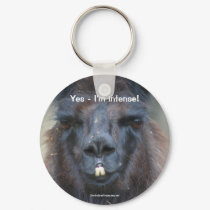 Black Llama Humorous Animal Nature Photo Keychain by SmilinEyesTreasures Black Llama Humorous Animal Nature Photo Keychain