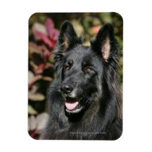 Black Long Haired German Shepherd Flexible Magnet