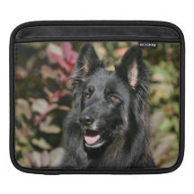 Black Long Haired German Shepherd Sleeves For iPads