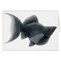 Black Lyretail Molly Aquarium Fish Card