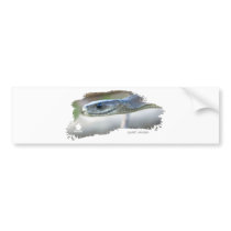 Black Mamba Bumper Sticker