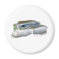 Black Mamba Fridge Magnet