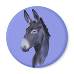 Black Mammoth Donkey Portrait Refrigerator Magnets