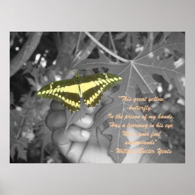 Black Man's Butterfly Posters by fantazydiam0nds