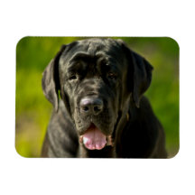 Black Mastiff Flexible Magnet