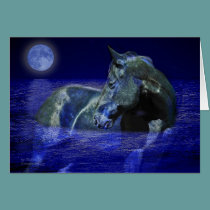 Black Moon Horse cards