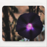 Black Morning Glory mousepads