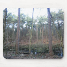 Black Moss in Delamere Forest, Cheshire Mousepad