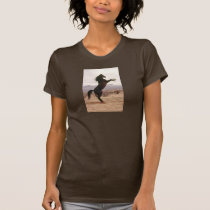Black Mountain! t-shirts