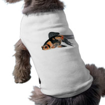 Black n Orange Goldfish pet clothing by H2Oasis Black n Orange Goldfish pet clothing