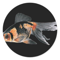 Black n Orange Goldfish stickers by H2Oasis Black n Orange Goldfish stickers