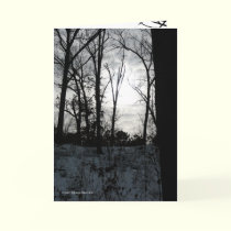 Black n White Day cards by MoiraAshleigh Black n White Day cards