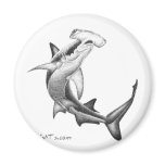 Black n White Shark