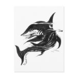 Black n White Shark