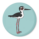 Black-necked Stilt Round Magnet