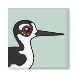 Black-necked Stilt Square Magnet
