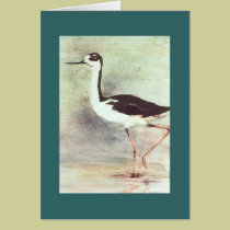 Black Necked Stilt - water bird Note Card cards