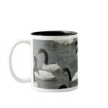 Black-necked swans (Cygnus melancoryphus) on Coffee Mugs