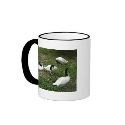 Black-Necked Swans Mug by Country1969