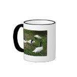 Black-Necked Swans Mug