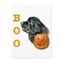 Black Newfoundland Boo postcards