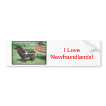Black Newfoundland Bumper Stickers