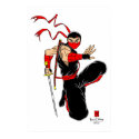 Black Ninja Poster posters